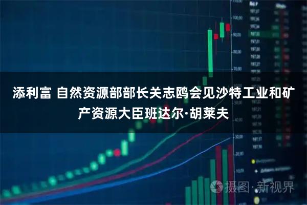 添利富 自然资源部部长关志鸥会见沙特工业和矿产资源大臣班达尔·胡莱夫