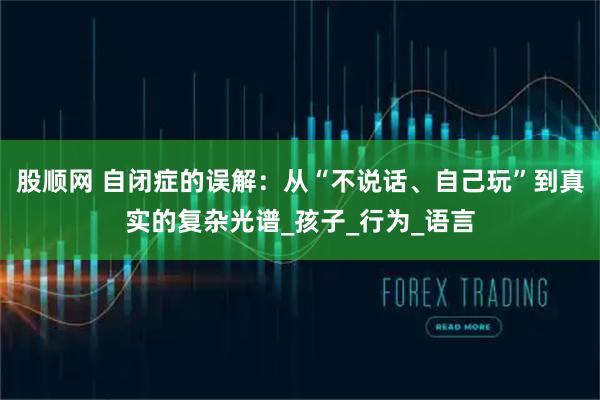 股顺网 自闭症的误解：从“不说话、自己玩”到真实的复杂光谱_孩子_行为_语言