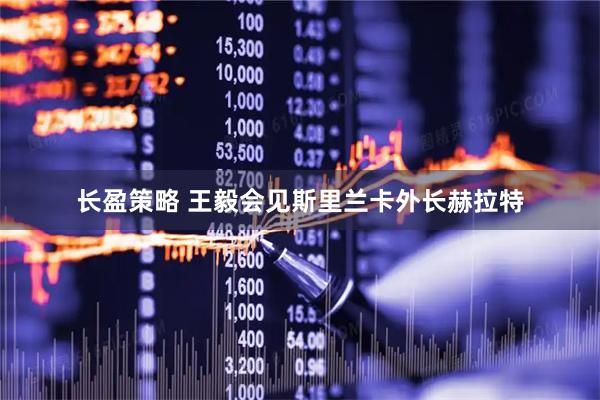 长盈策略 王毅会见斯里兰卡外长赫拉特